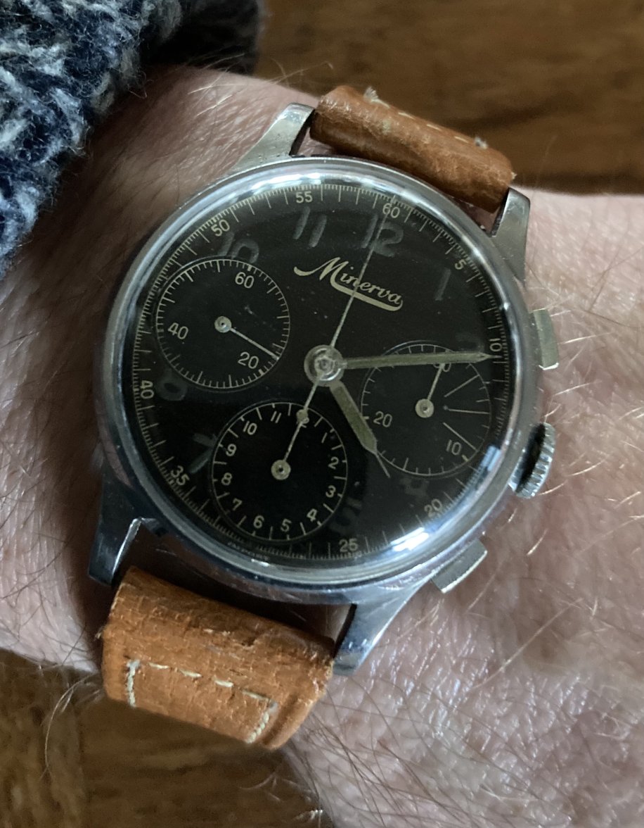 minerva on wrist.jpg minerva on wrist.jpg