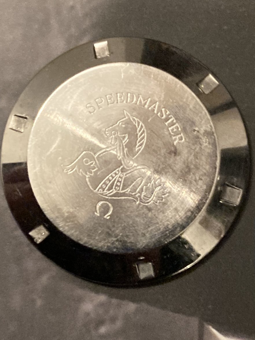 IMG_6256.jpeg IMG_6256.jpeg