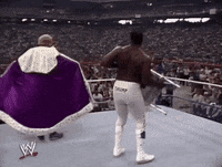 IMG_1110.gif