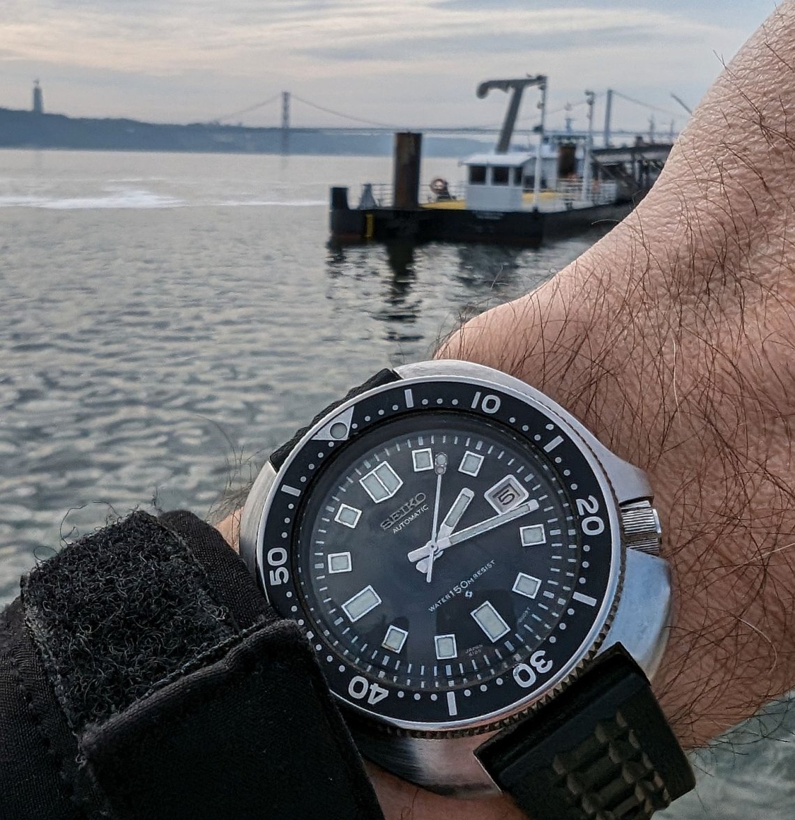 Willard ws 2 PXL_20240205_141725445.jpg