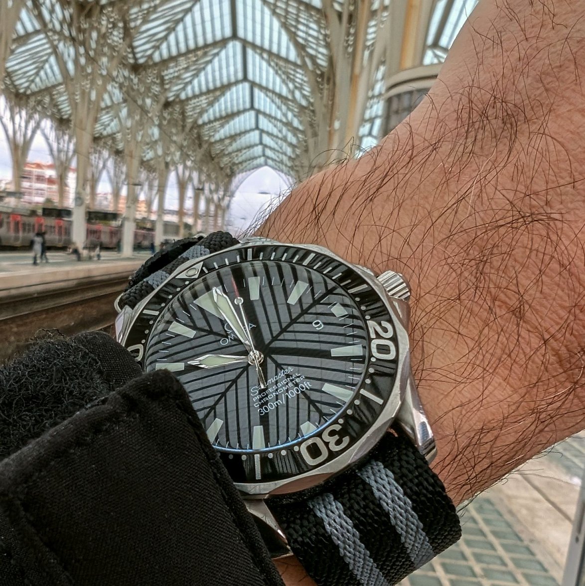 2254 ws 2 PXL_20240209_100109736.jpg