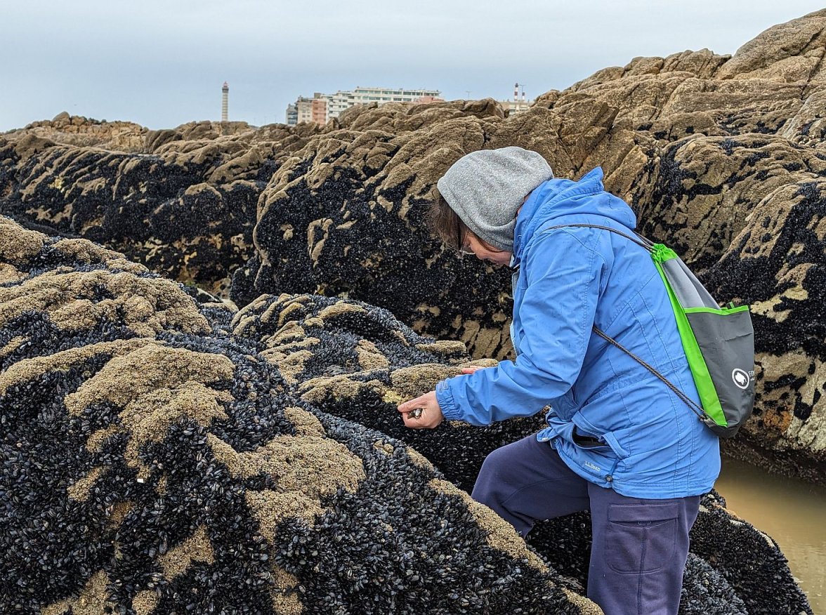 SGMT ws 3 PXL_20240211_095918983.jpg