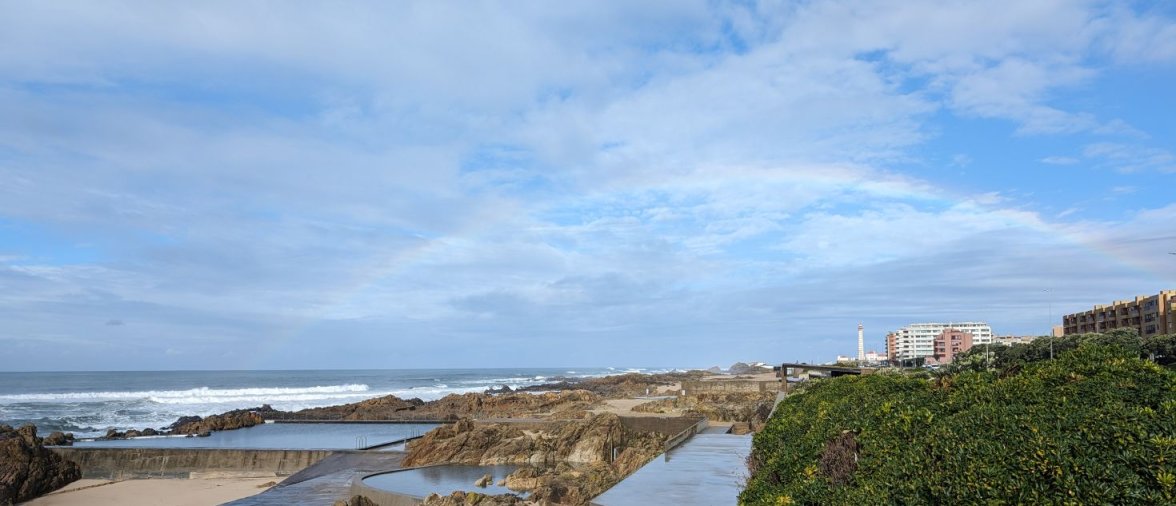 SGMT ws 4 PXL_20240211_105127905.jpg