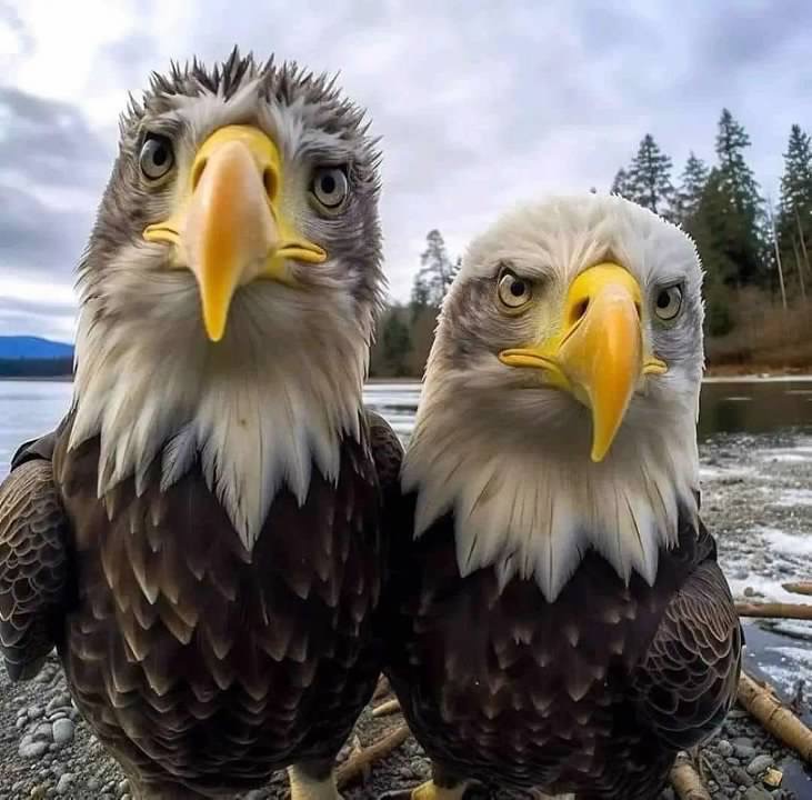 Image 8.jpg Image 8.jpg