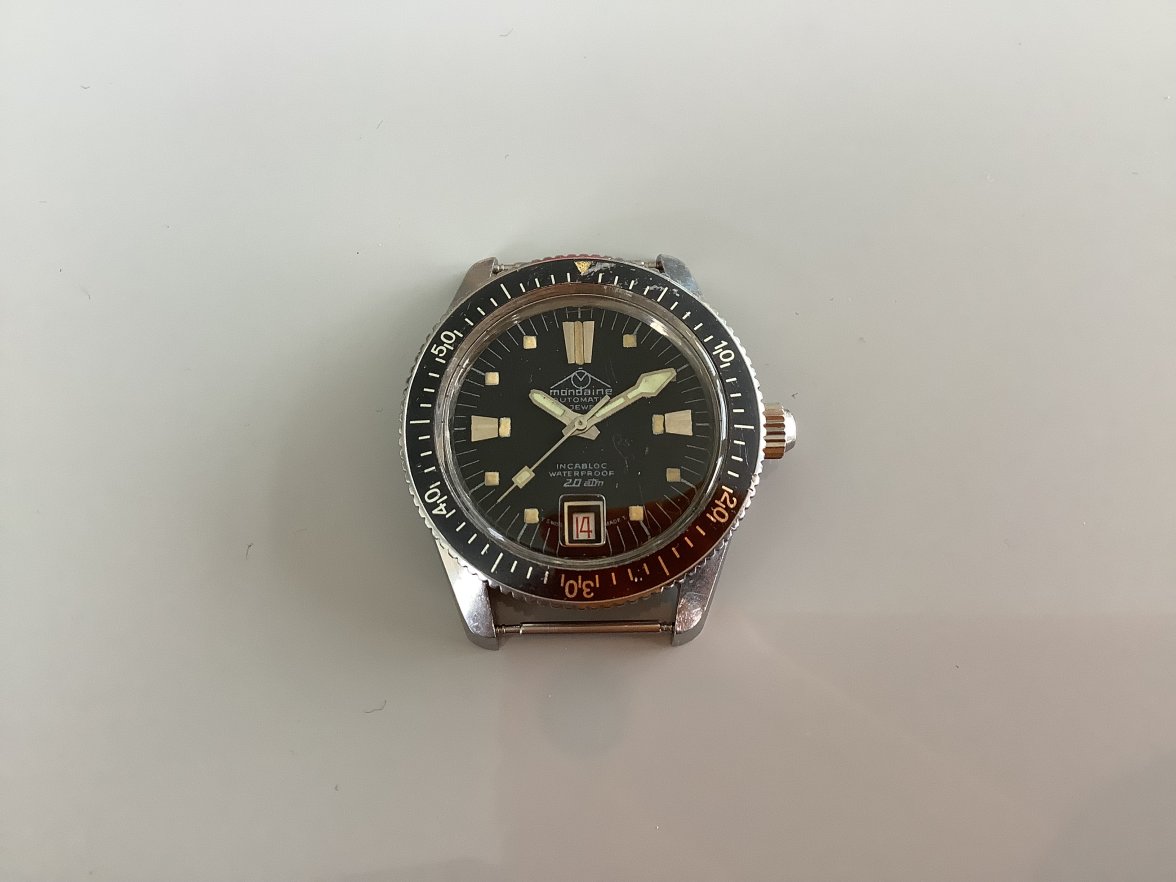 IMG_0644.jpeg IMG_0644.jpeg