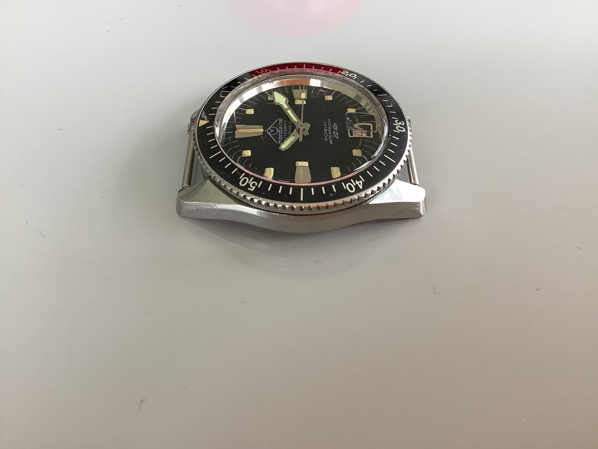 IMG_0646.jpeg IMG_0646.jpeg