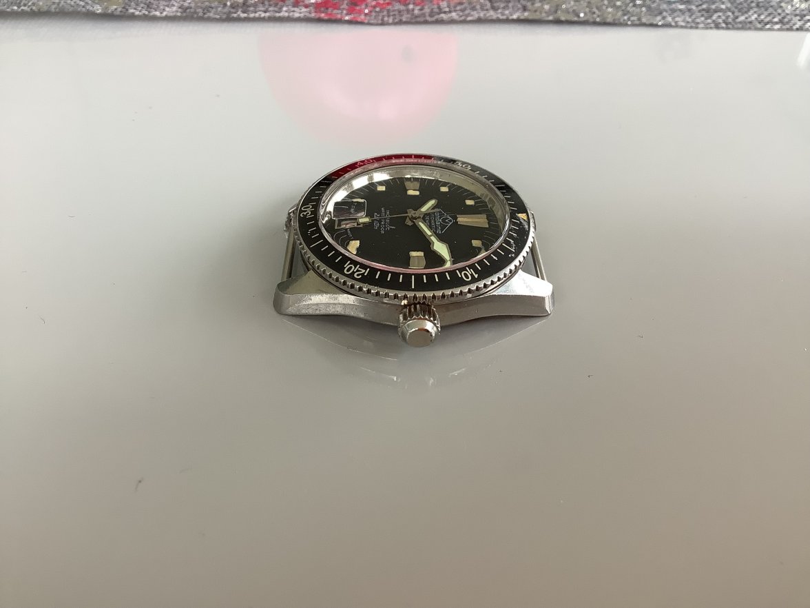 IMG_0647.jpeg IMG_0647.jpeg