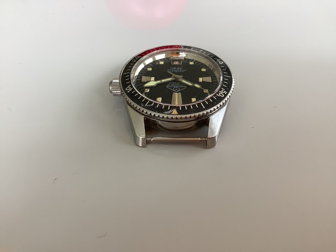 IMG_0649.jpeg IMG_0649.jpeg