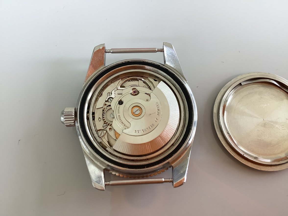 IMG_0650.jpeg IMG_0650.jpeg