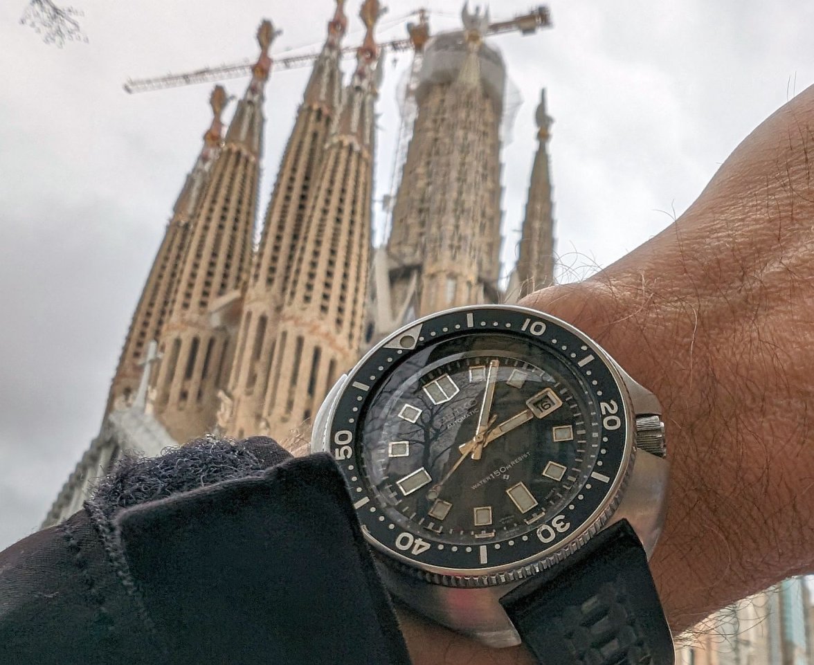 Willard Sagrada Família 1  PXL_20240216_140644056.jpg