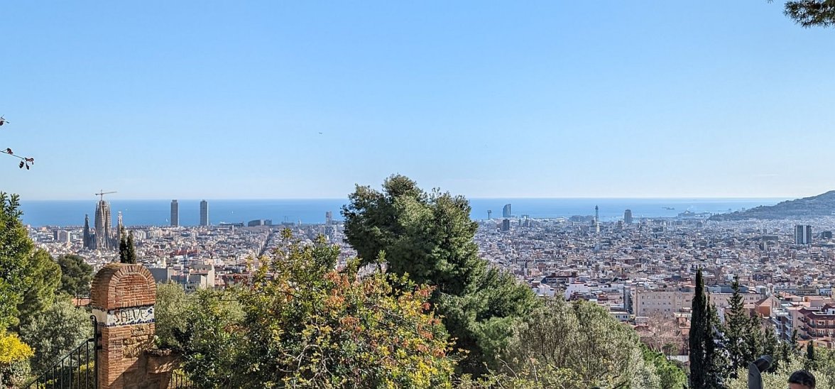 Willard Barcelona ws 3 PXL_20240217_131651769.jpg