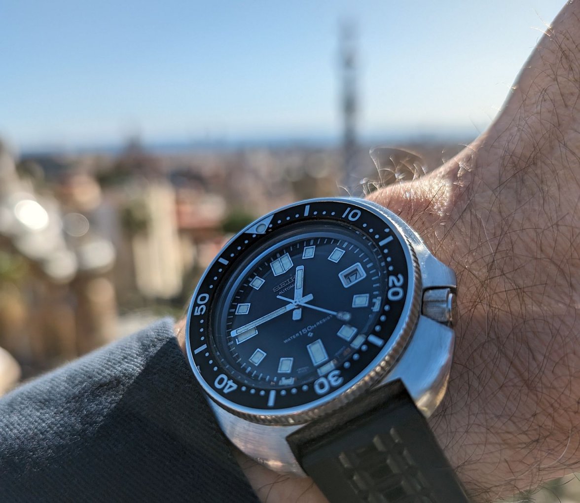 Willard ws 1 PXL_20240217_114520633.jpg