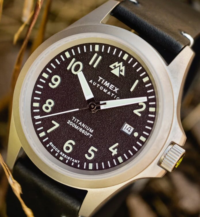 Timex Expedition North.jpg