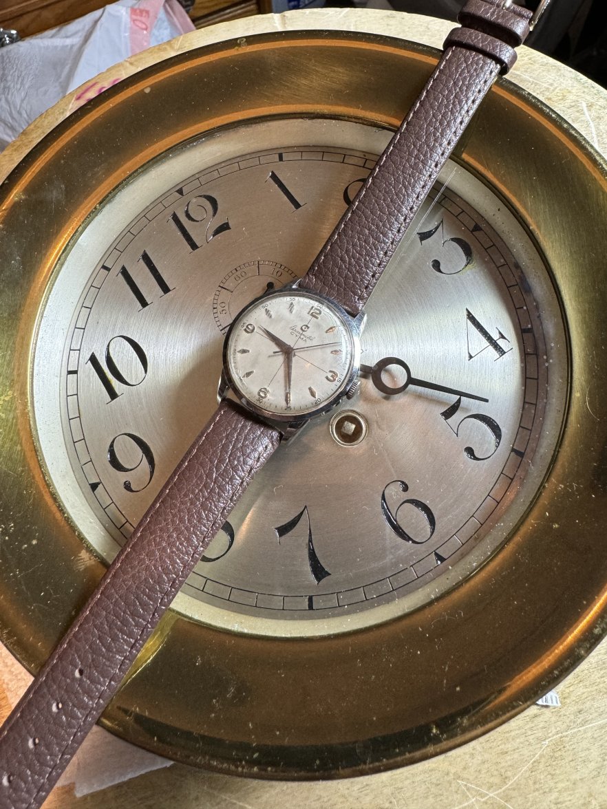 IMG_1020.jpeg IMG_1020.jpeg