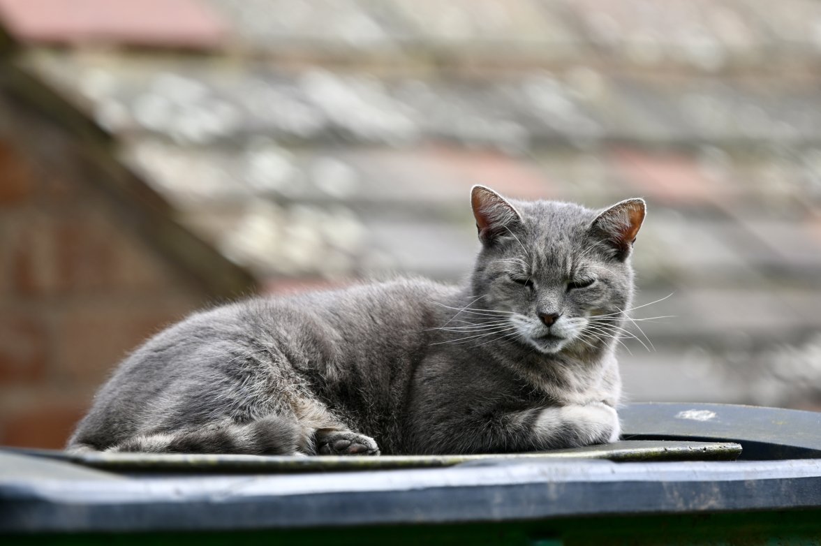 DSC_0023.jpeg DSC_0023.jpeg