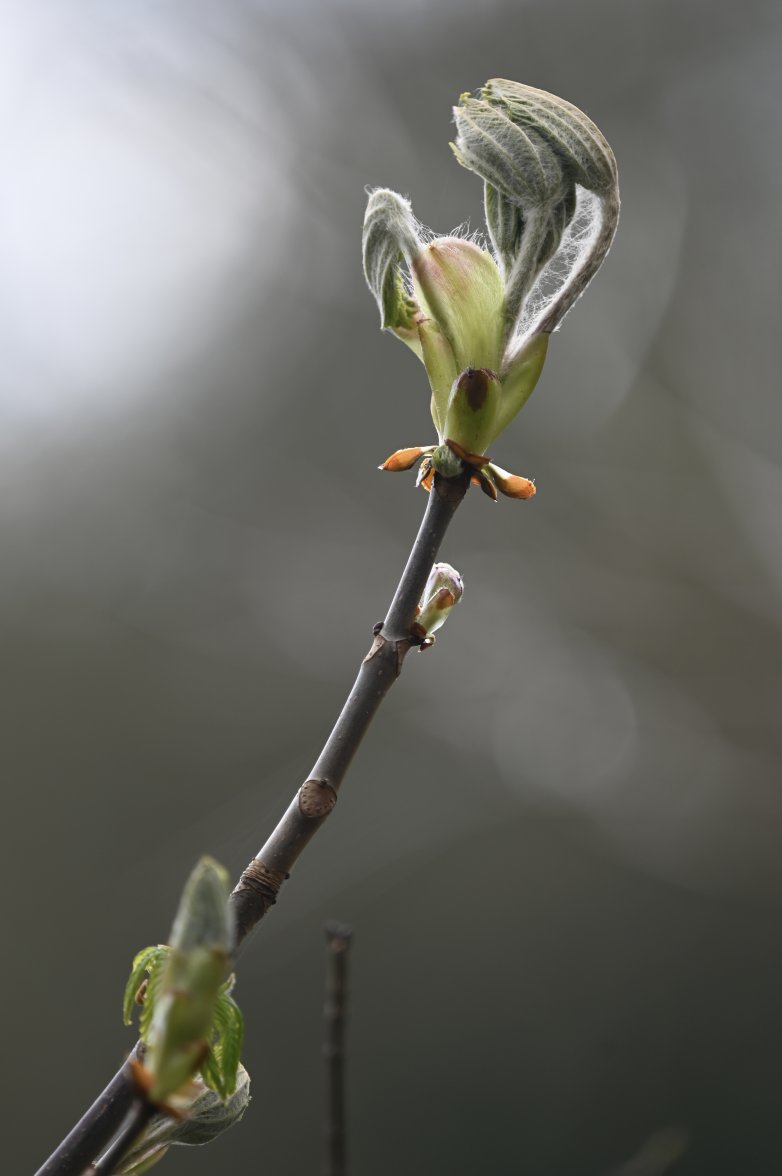 DSC_0021.jpeg DSC_0021.jpeg