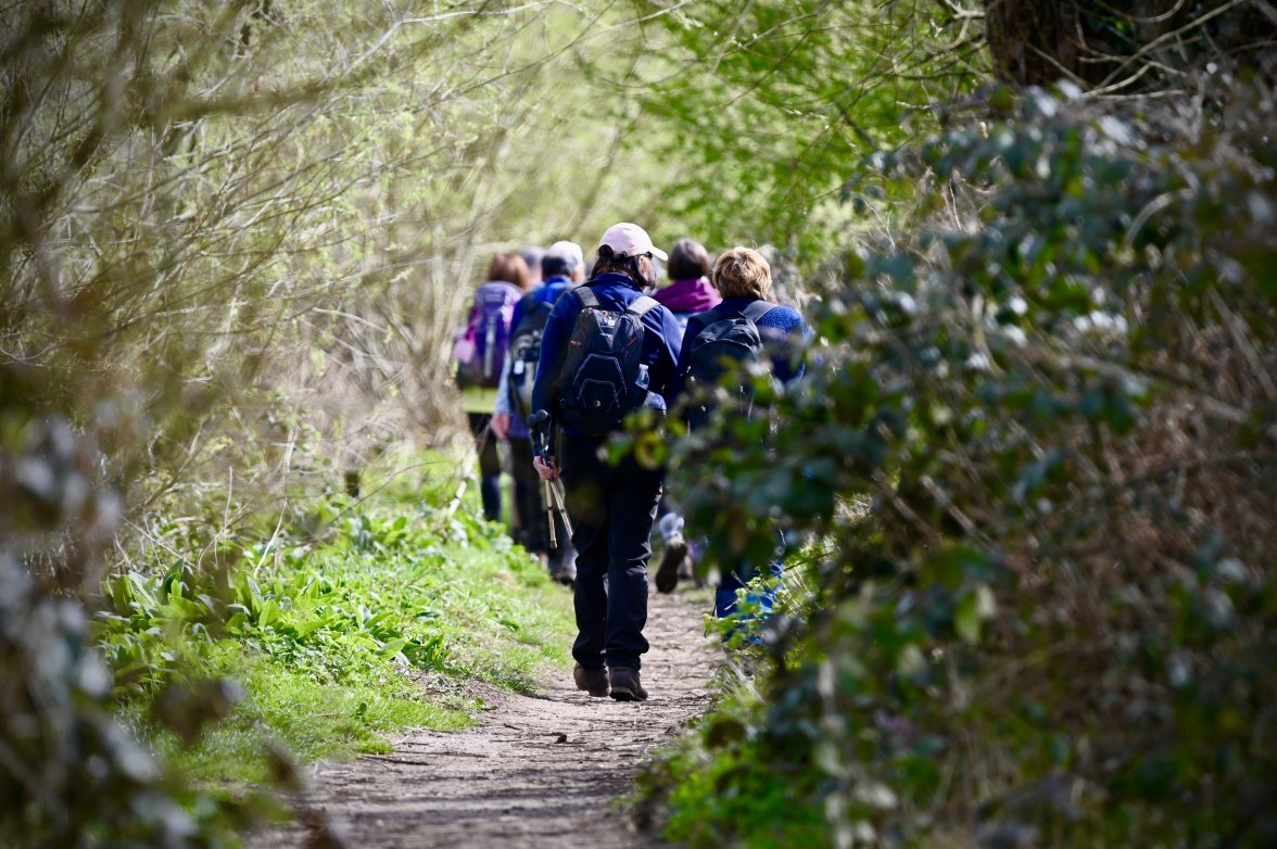 DSC_0003.jpeg DSC_0003.jpeg