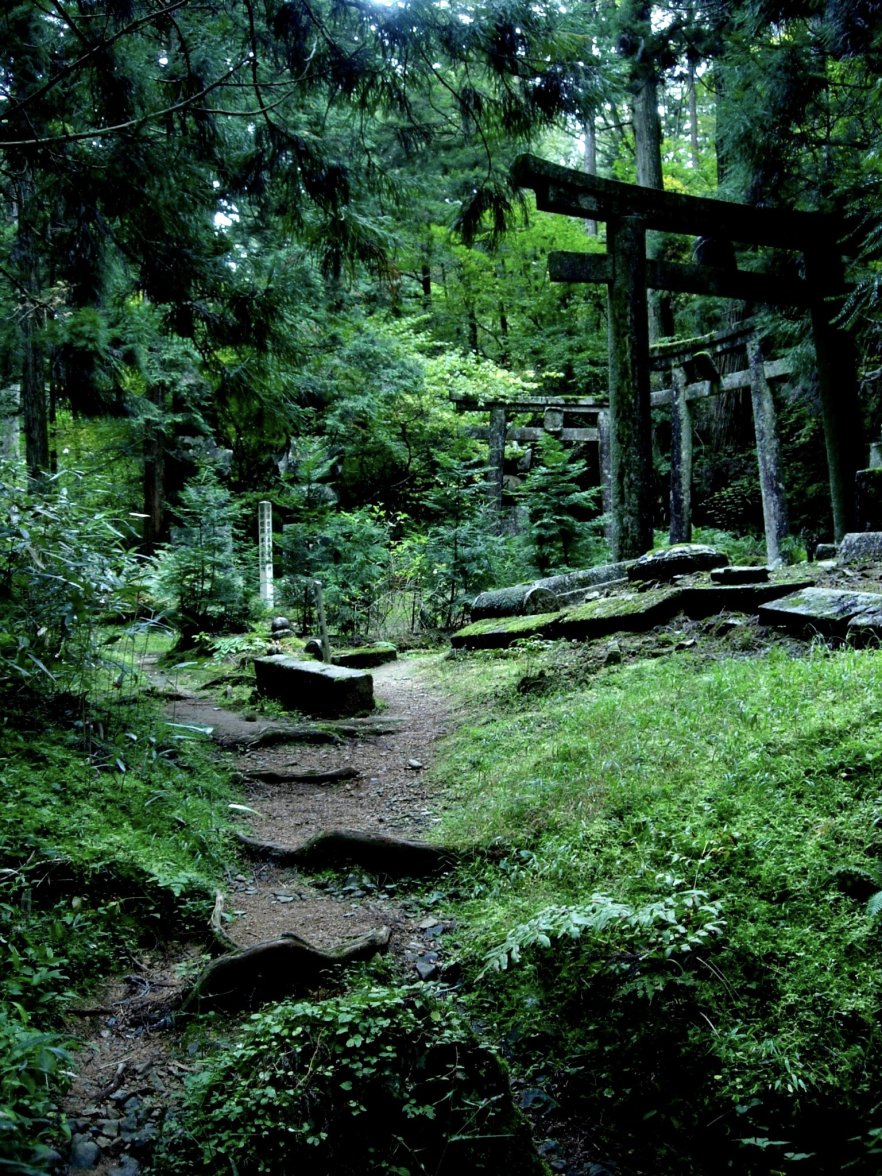 IMG_1252.JPG IMG_1252.JPG