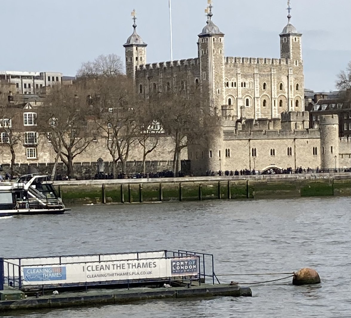 IMG_5464.jpeg IMG_5464.jpeg