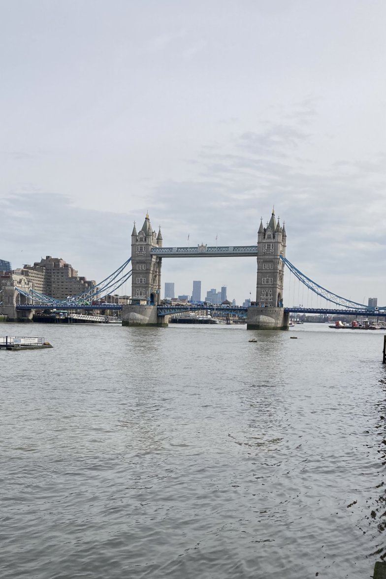 IMG_5462.jpeg IMG_5462.jpeg