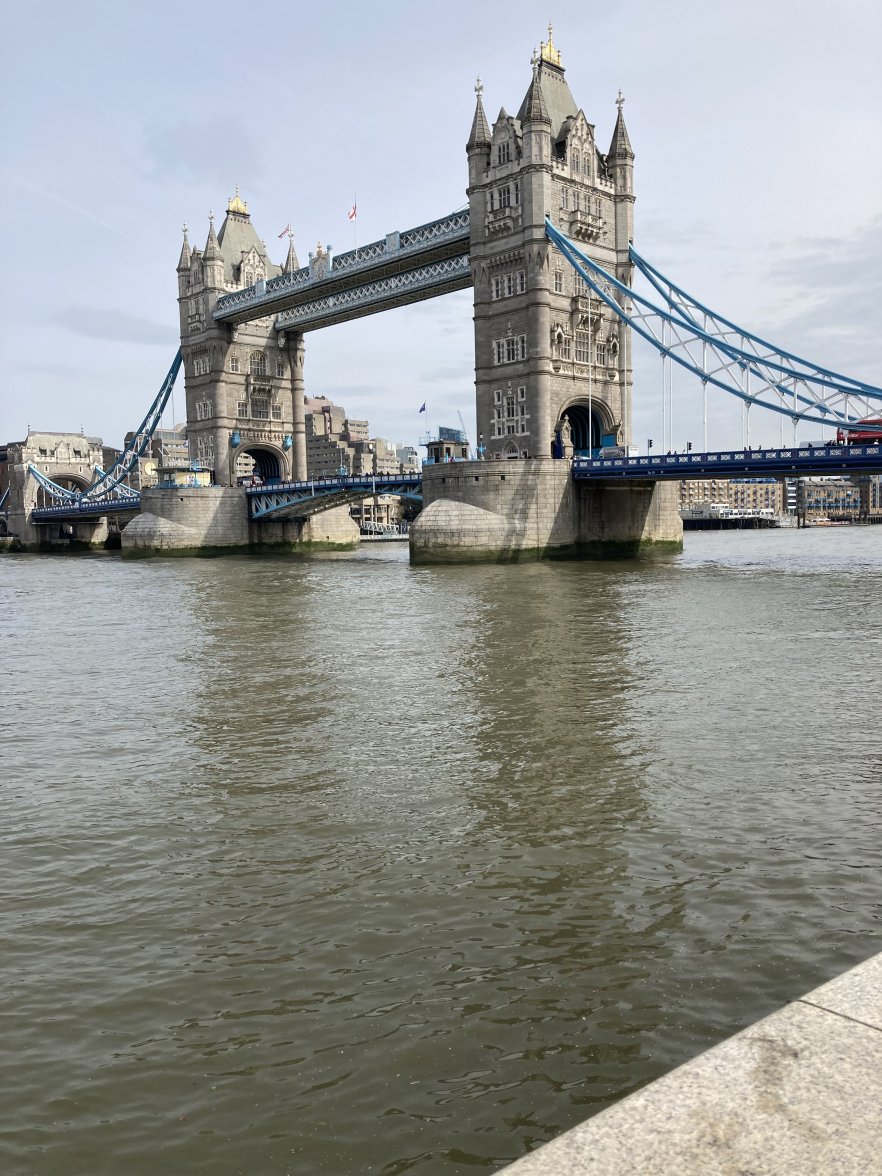 IMG_5471.jpeg IMG_5471.jpeg