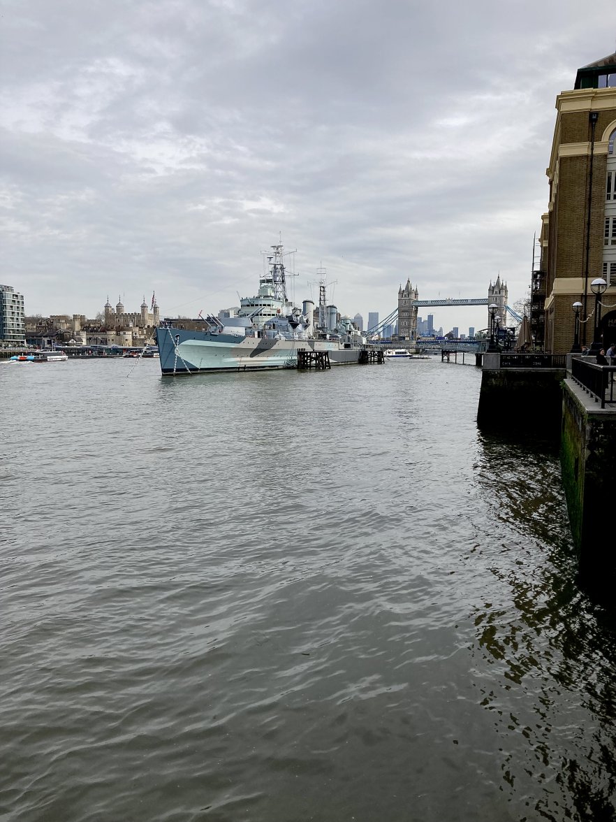 IMG_5481.jpeg IMG_5481.jpeg