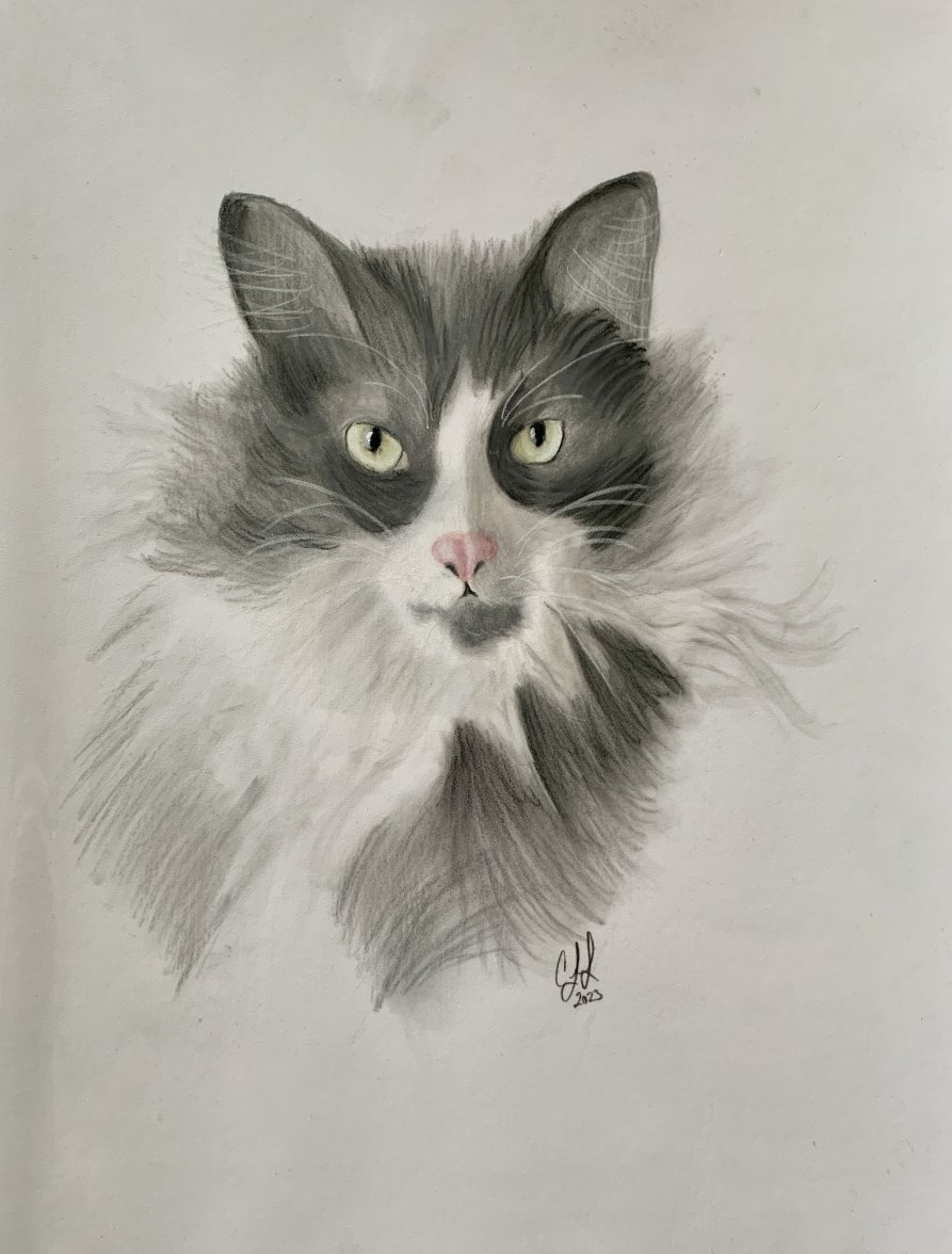 IMG_4049.jpeg IMG_4049.jpeg