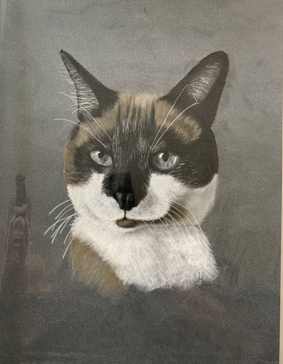 IMG_4048.jpeg IMG_4048.jpeg