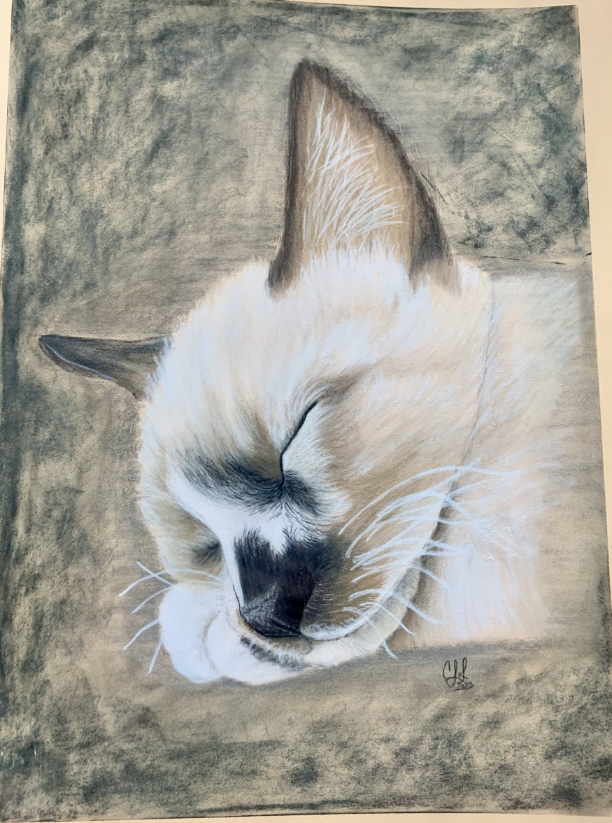 IMG_4050.jpeg IMG_4050.jpeg