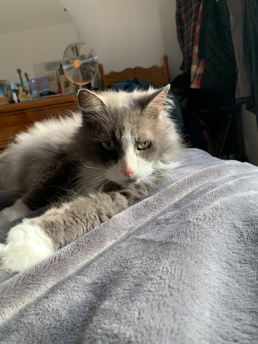 IMG_3966.jpeg IMG_3966.jpeg