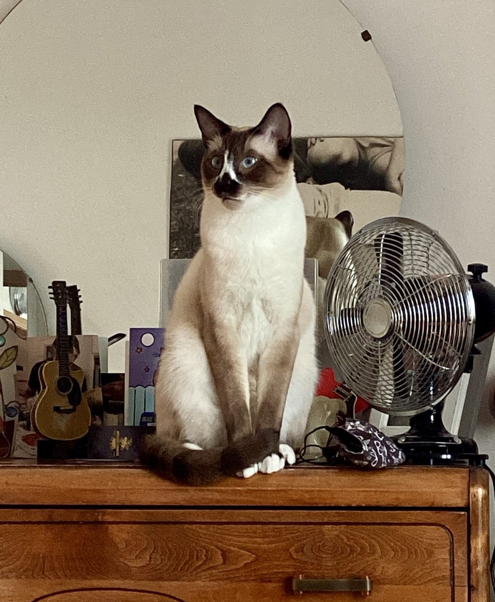 IMG_0801.jpeg IMG_0801.jpeg