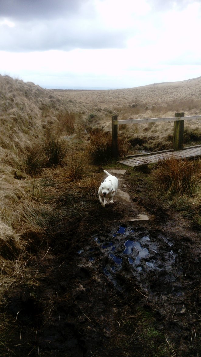 DSC_0058.JPG DSC_0058.JPG