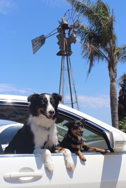 IMG_0018.JPG IMG_0018.JPG