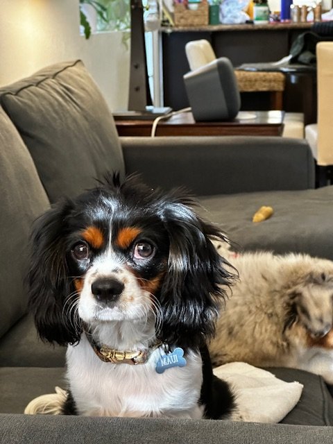 IMG_1804.jpg IMG_1804.jpg