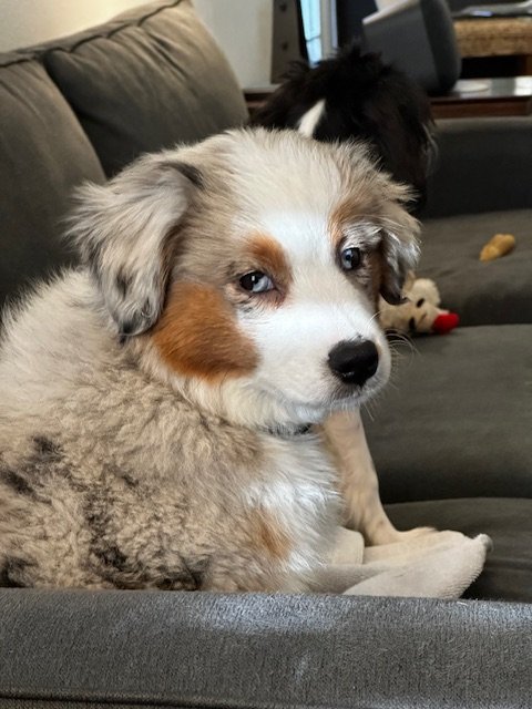 IMG_1808.jpg IMG_1808.jpg