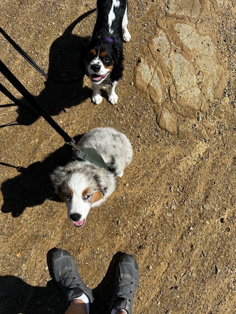 IMG_1800.jpg IMG_1800.jpg