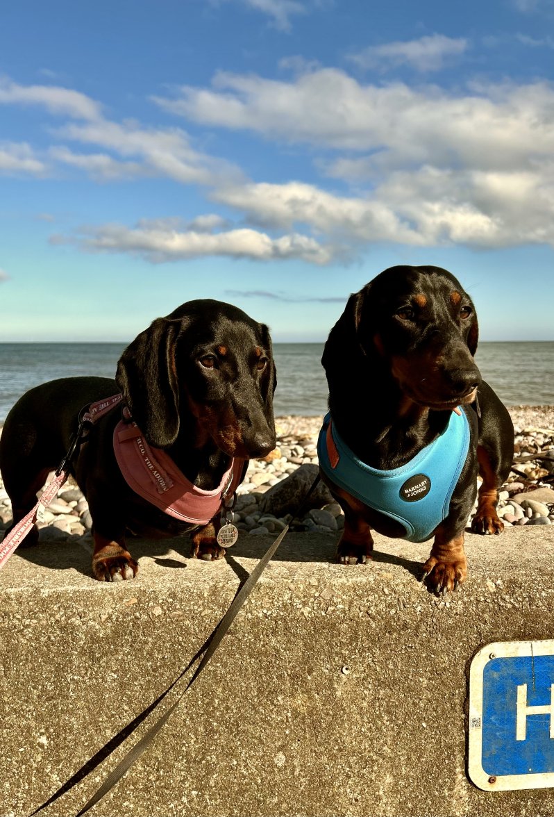 IMG_2818.jpeg IMG_2818.jpeg