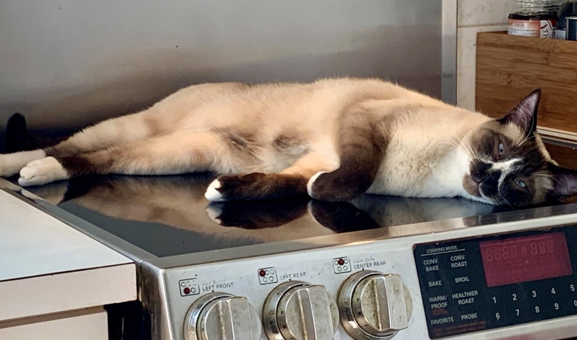 73341416113__5937F1D5-C64D-448A-8BE1-1378C570AE01.jpeg 73341416113__5937F1D5-C64D-448A-8BE1-1378C570AE01.jpeg