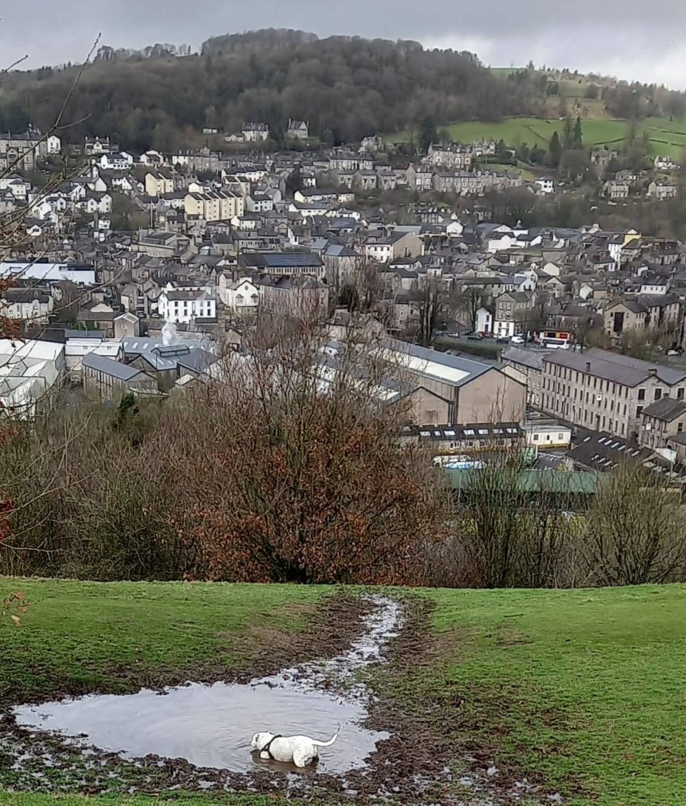 IMG-20230330-WA0015.jpg IMG-20230330-WA0015.jpg