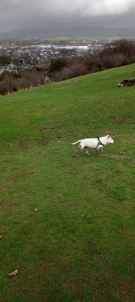 IMG-20230330-WA0005.jpg IMG-20230330-WA0005.jpg