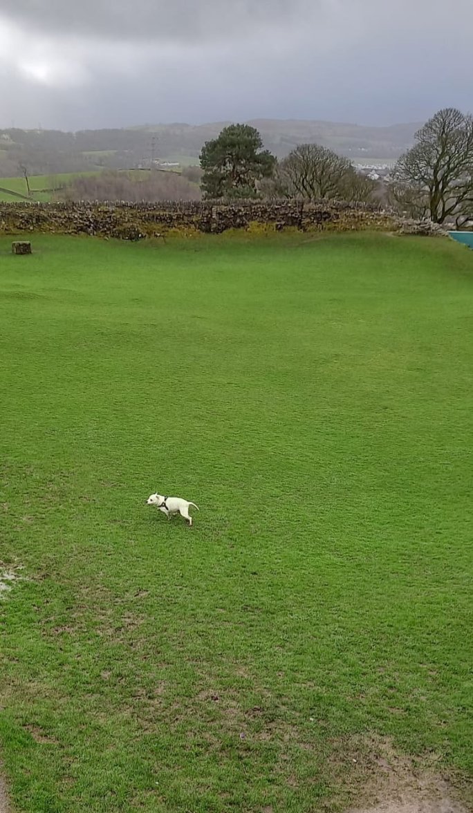 IMG-20230330-WA0009.jpg IMG-20230330-WA0009.jpg