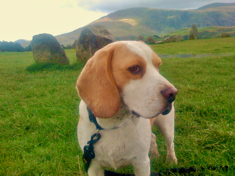 IMG_0108.jpeg IMG_0108.jpeg