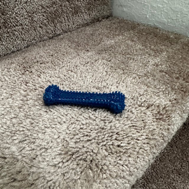 IMG_1995.jpg IMG_1995.jpg