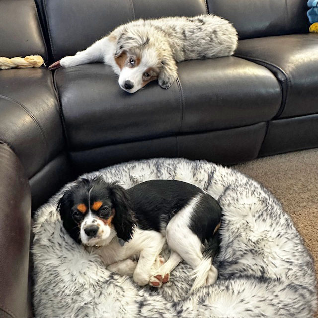 IMG_1996.jpg IMG_1996.jpg