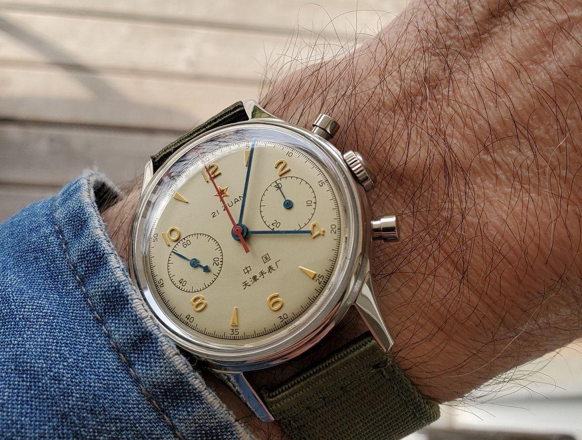 Seagull ws 1 20240331_160546.jpg