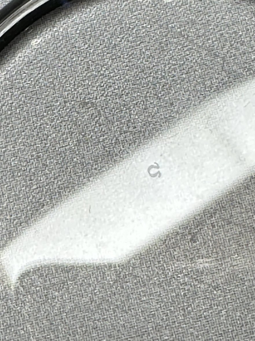 2024-02-21 16.33.38.jpg