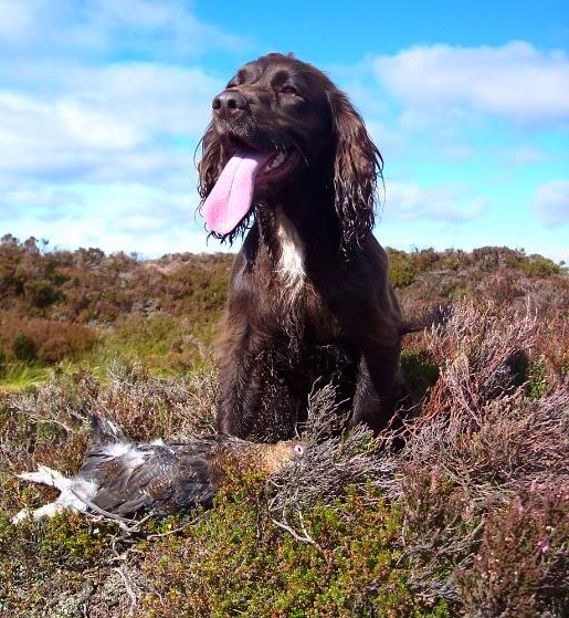 ISA FIRST GROUSE.jpg