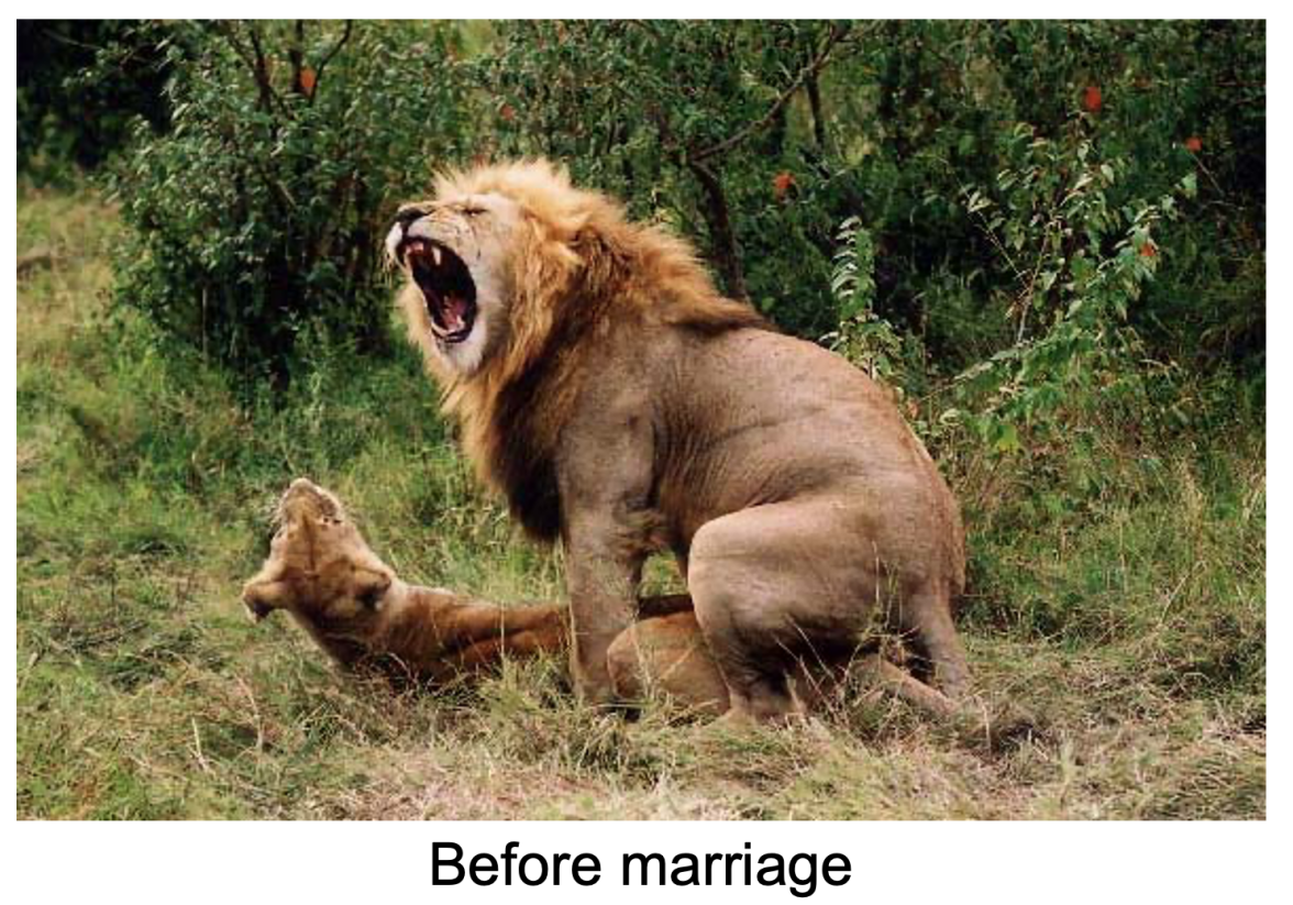 Screen Shot 2024-04-04 at 2.24.08 pm.png