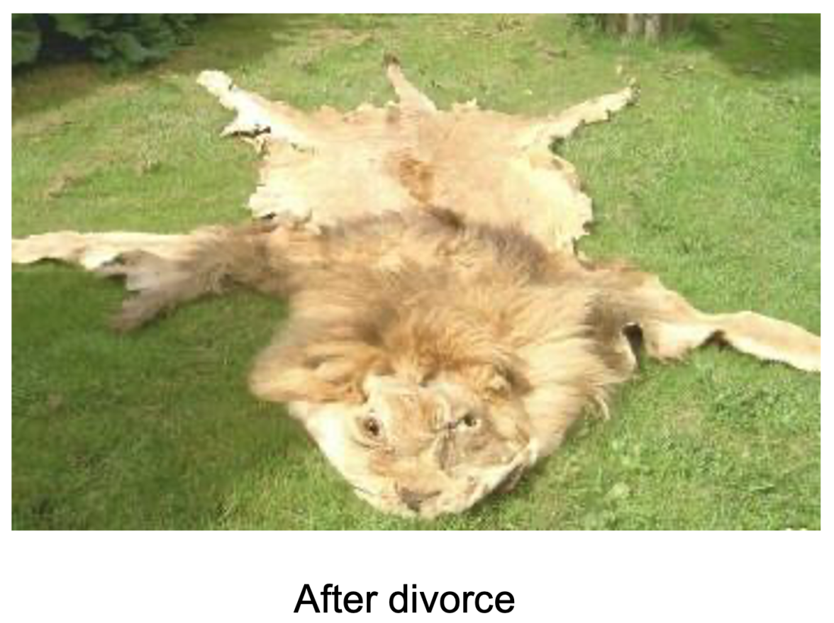 Screen Shot 2024-04-04 at 2.24.55 pm.png