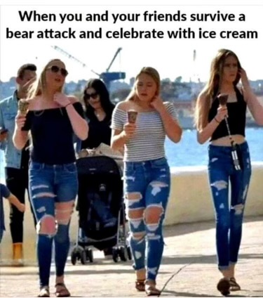 Screenshot 2024-04-05 at 1.26.50 PM.jpeg